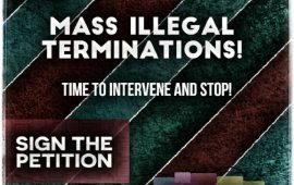 Mass Illegal Terminations! Time to intervene and stop!